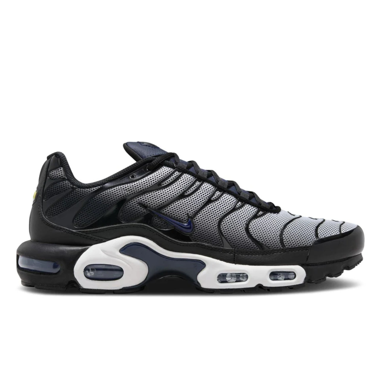 Nike Air Max Plus TN 1 "Midnight Navy"